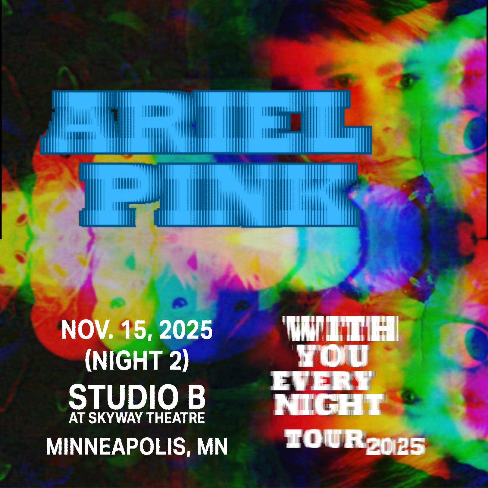 Ariel Pink (Night 2) Flyer